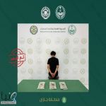 القبض على مروج حشيش في جازان بحوزته 3.5 كيلوجرام