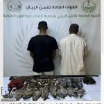 الأمن البيئي يقبض على فهد علي صالح الشنيفي وراكان فهد عبدالله الهبوب لمخالفة الصيد في محمية الملك عبدالعزيز الملكية