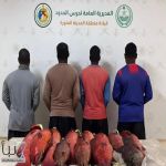حرس الحدود في ينبع يضبط 4 مقيمين لمخالفة أنظمة الصيد البحري دون تصريح