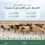 وزارة البيئة تؤكد أهمية الالتزام بالإرشادات البيطرية لاختيار الأضاحي خلال موسم الحج