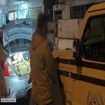الأمن البيئي يضبط مقيمًا نقل حطبًا محليًا بطريقة مخالفة في الرياض