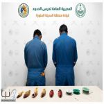 حرس الحدود بينبع يضبط مخالفين لنظام الصيد البحري ويصادر أسماكًا مصيدة