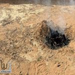 الأمن البيئي يضبط مخالفات متنوعة في محميات الملك عبدالعزيز والإمام عبدالعزيز بن محمد والمدينة المنورة
