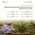 «الوطني للتشجير»: 6 مبادئ تقود استدامة التشجير وتغيير النظام البيئي في المملكة