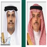 وزير الخارجية يتلقى اتصالًا هاتفيًا من رئيس مجلس الوزراء وزير خارجية دولة قطر