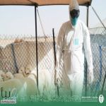 “وقاء” يعزز برامج الرصد والوقاية لمواجهة الأمراض المشتركة بين الإنسان والحيوان