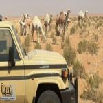 الأمن البيئي يضبط مخالفين في محميتي الملك عبدالعزيز والإمام تركي بن عبدالله