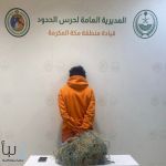 حرس الحدود يضبط مواطنًا في جدة لمخالفته أنظمة الصيد واستخدام أدوات محظورة