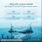"البيئة" تدعو لترشيد استهلاك المياه خلال فصل الصيف لتعزيز الاستخدام الأمثل للموارد المائية